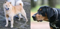 Hokkaido vs Lithuanian Hound - Breed Comparison