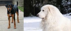 Hungarian Hound vs Great Pyrenees - Breed Comparison