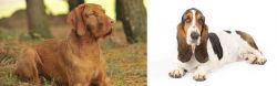 Hungarian Wirehaired Vizsla vs Basset Hound - Breed Comparison