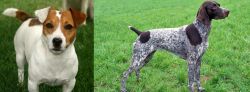 Irish Jack Russell vs German Shorthaired Pointer - Breed Comparison