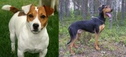 Irish Jack Russell vs Greek Harehound - Breed Comparison