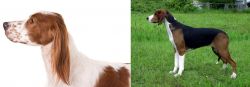 Irish Red and White Setter vs Finnish Hound - Breed Comparison