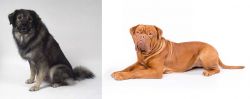 Istrian Sheepdog vs Dogue De Bordeaux - Breed Comparison