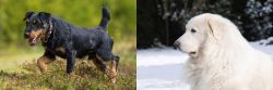 Jagdterrier vs Great Pyrenees - Breed Comparison