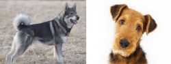 Jamthund vs Airedale Terrier - Breed Comparison