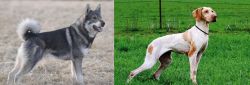 Jamthund vs Ariege Pointer - Breed Comparison