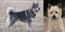 Jamthund vs Cairn Terrier - Breed Comparison