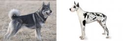 Jamthund vs Great Dane - Breed Comparison