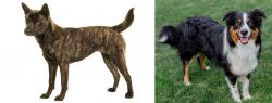 Kai Ken vs English Shepherd - Breed Comparison