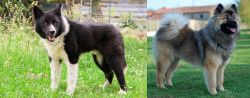 Karelian Bear Dog vs Eurasier - Breed Comparison