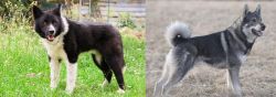 Karelian Bear Dog vs Jamthund - Breed Comparison
