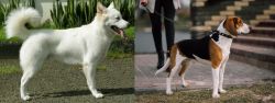 Kintamani vs Estonian Hound - Breed Comparison