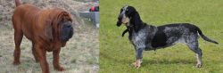Korean Mastiff vs Basset Bleu de Gascogne - Breed Comparison