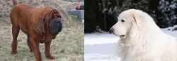 Korean Mastiff vs Great Pyrenees - Breed Comparison