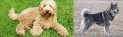 Labradoodle vs Jamthund - Breed Comparison