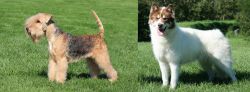 Lakeland Terrier vs Canadian Eskimo Dog - Breed Comparison