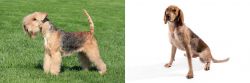 Lakeland Terrier vs English Coonhound - Breed Comparison