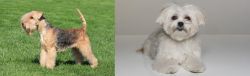 Lakeland Terrier vs Kyi-Leo - Breed Comparison