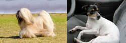 Lhasa Apso vs Chilean Fox Terrier - Breed Comparison
