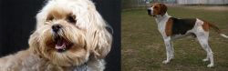 Lhasapoo vs Anglo-Francais de Petite Venerie - Breed Comparison
