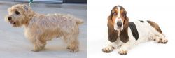 Lucas Terrier vs Basset Hound - Breed Comparison