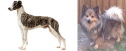 Magyar Agar vs German Spitz (Mittel) - Breed Comparison