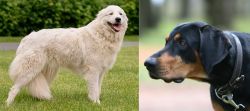Maremma Sheepdog vs Lithuanian Hound - Breed Comparison