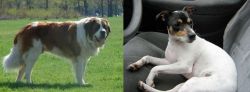 Moscow Watchdog vs Chilean Fox Terrier - Breed Comparison