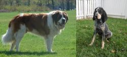 Moscow Watchdog vs Grand Bleu de Gascogne - Breed Comparison