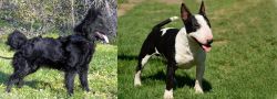 Mudi vs Bull Terrier Miniature - Breed Comparison