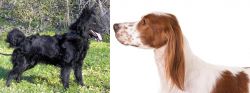 Mudi vs Irish Red and White Setter - Breed Comparison