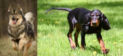 Native American Indian Dog vs Black and Tan Coonhound - Breed Comparison