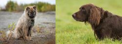 Nenets Herding Laika vs German Longhaired Pointer - Breed Comparison