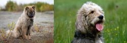Nenets Herding Laika vs Otterhound - Breed Comparison