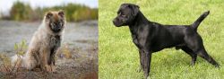 Nenets Herding Laika vs Patterdale Terrier - Breed Comparison