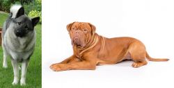 Norwegian Elkhound vs Dogue De Bordeaux - Breed Comparison