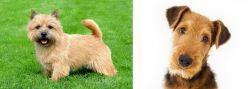 Nova Scotia Duck-Tolling Retriever vs Airedale Terrier - Breed Comparison