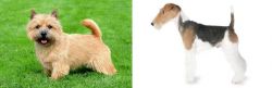 Nova Scotia Duck-Tolling Retriever vs Fox Terrier - Breed Comparison