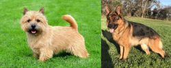 Nova Scotia Duck-Tolling Retriever vs German Shepherd - Breed Comparison