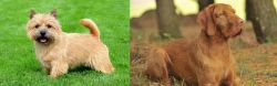 Nova Scotia Duck-Tolling Retriever vs Hungarian Wirehaired Vizsla - Breed Comparison
