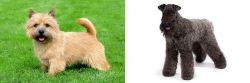 Nova Scotia Duck-Tolling Retriever vs Kerry Blue Terrier - Breed Comparison