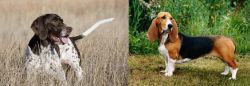 Old Danish Pointer vs Basset Artesien Normand - Breed Comparison