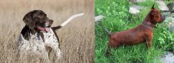 Old Danish Pointer vs Chinese Chongqing Dog - Breed Comparison
