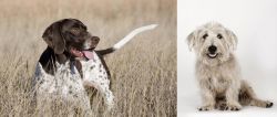 Old Danish Pointer vs Glen of Imaal Terrier - Breed Comparison