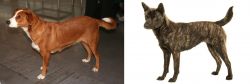 Osterreichischer Kurzhaariger Pinscher vs Kai Ken - Breed Comparison