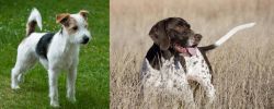 Parson Russell Terrier vs Old Danish Pointer - Breed Comparison