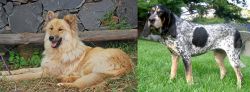 Pastor Garafiano vs Griffon Bleu de Gascogne - Breed Comparison