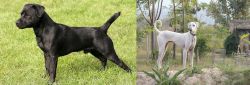 Patterdale Terrier vs Chippiparai - Breed Comparison