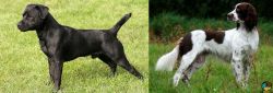 Patterdale Terrier vs French Spaniel - Breed Comparison