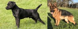 Patterdale Terrier vs German Shepherd - Breed Comparison